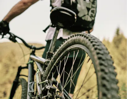 Tour guidato dei colli berici in mountain bike