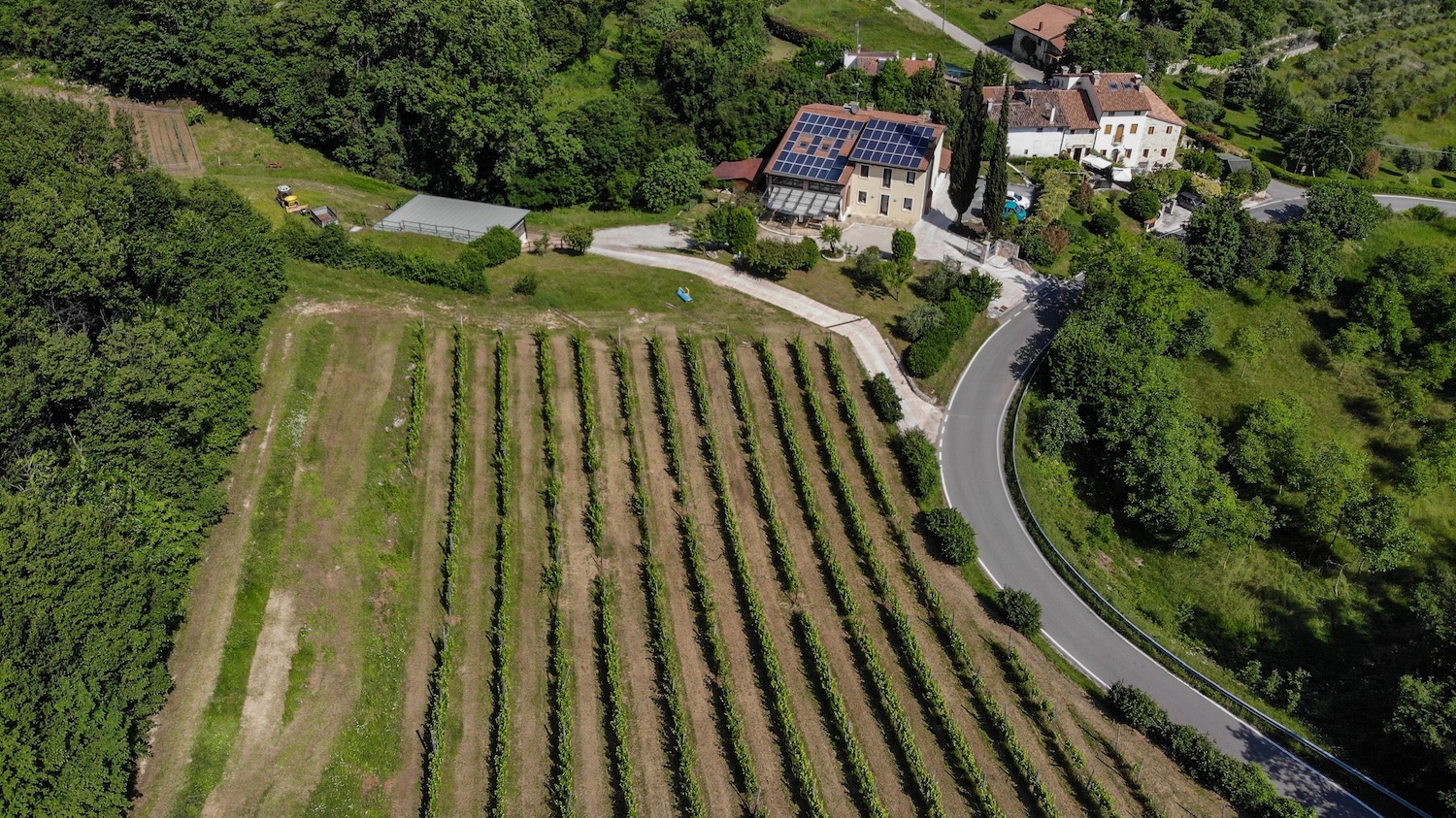 ESP-Degustazione-Olio-e-Vino_Marani-1