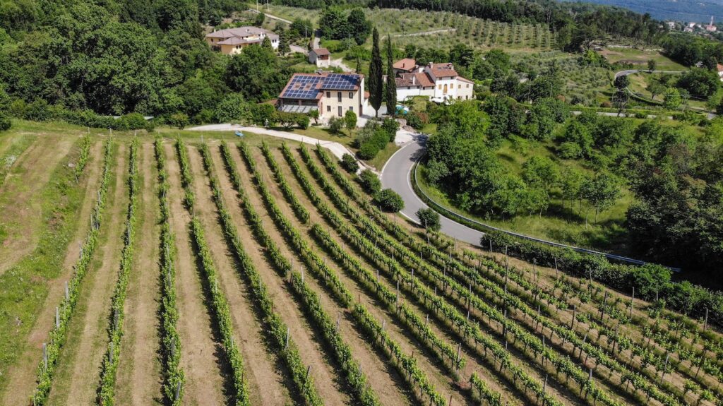 ESP-Degustazione-Olio-e-Vino_Marani