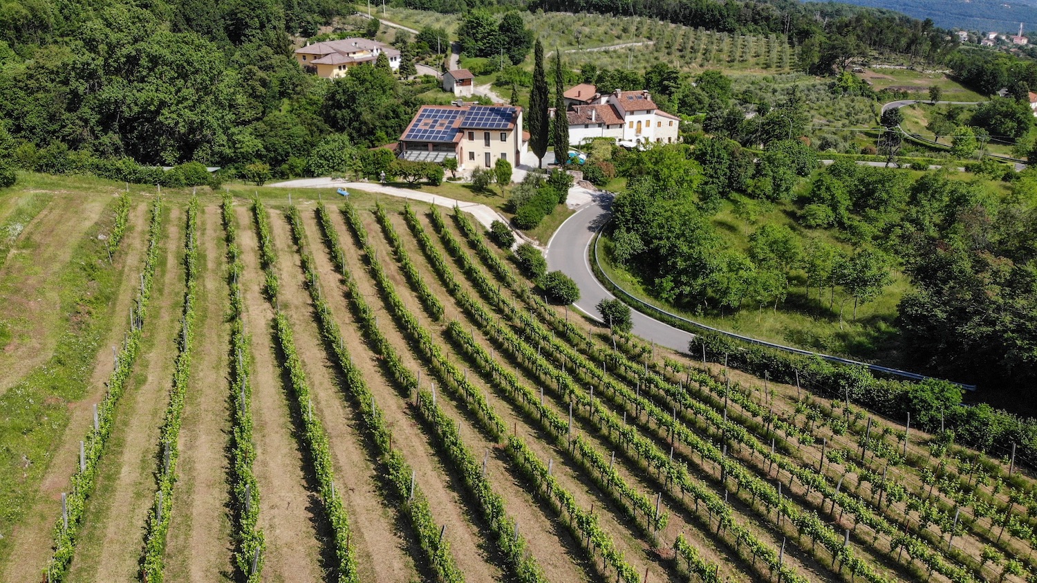 ESP-Degustazione-Olio-e-Vino_Marani