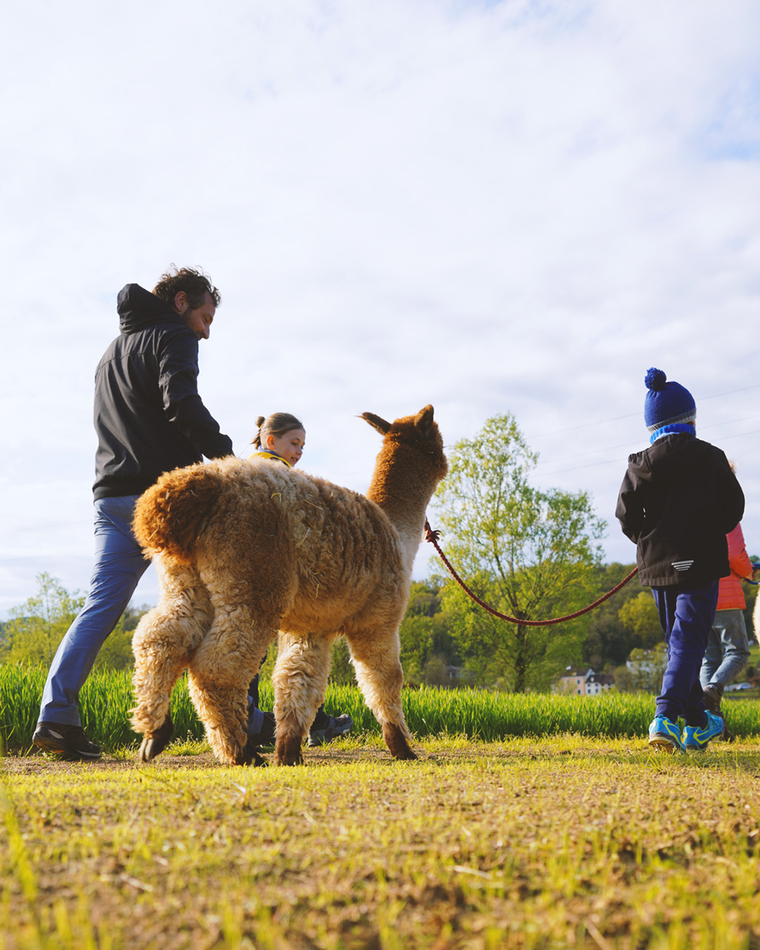 ESP Passeggiata con Alpaca_A&Alpaca 3