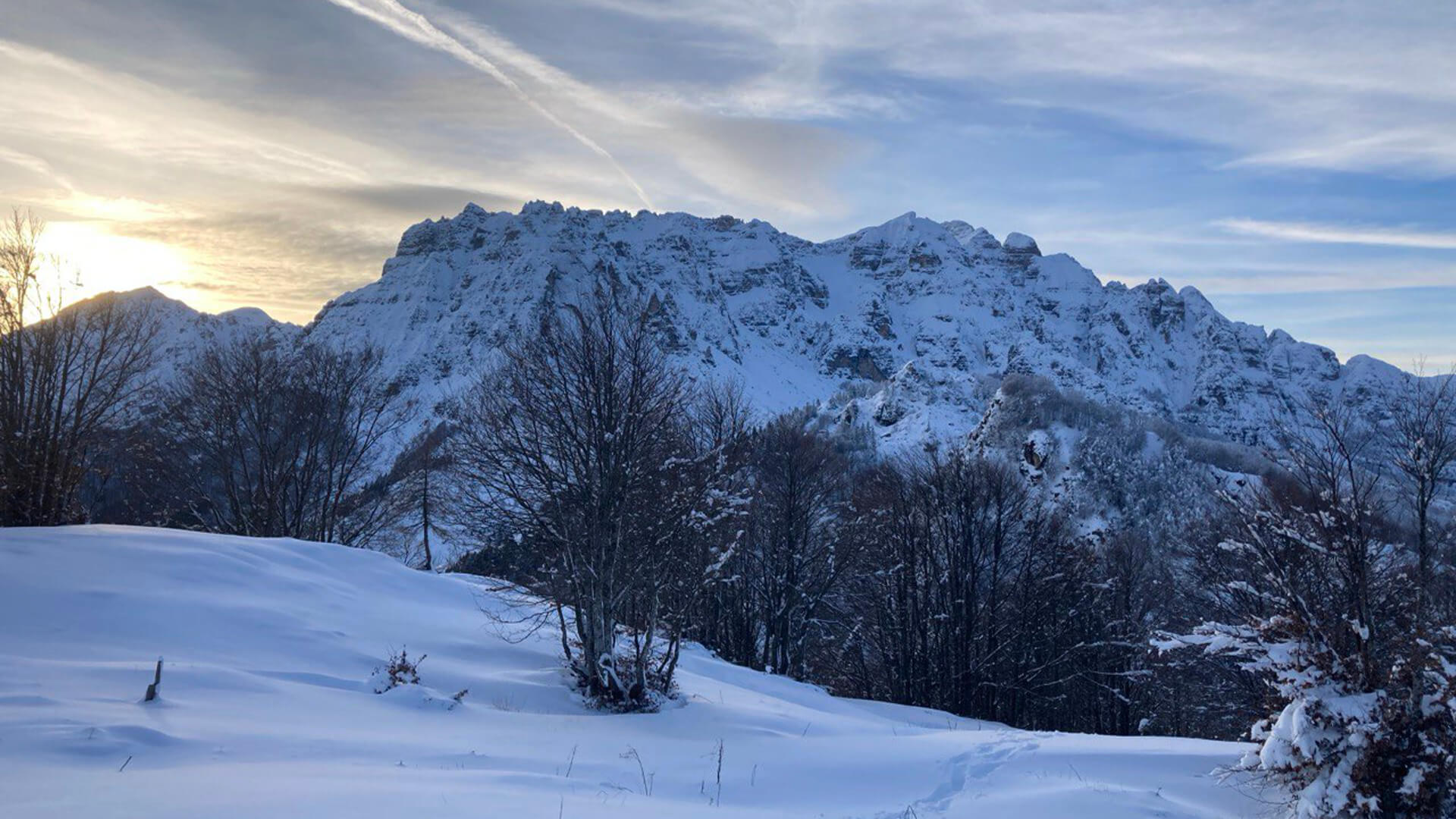 Jonas