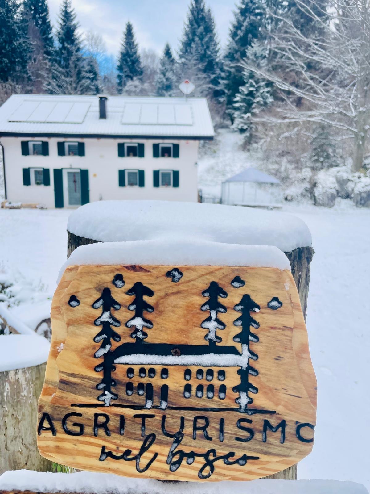STRUTTURA_Agriturismo nel bosco