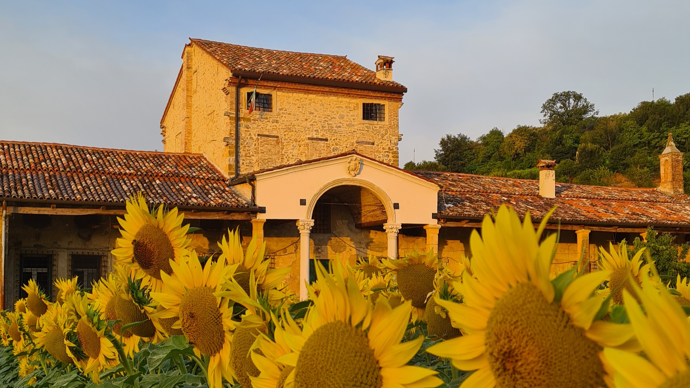 STRUTTURA_Costalunga Vini 0