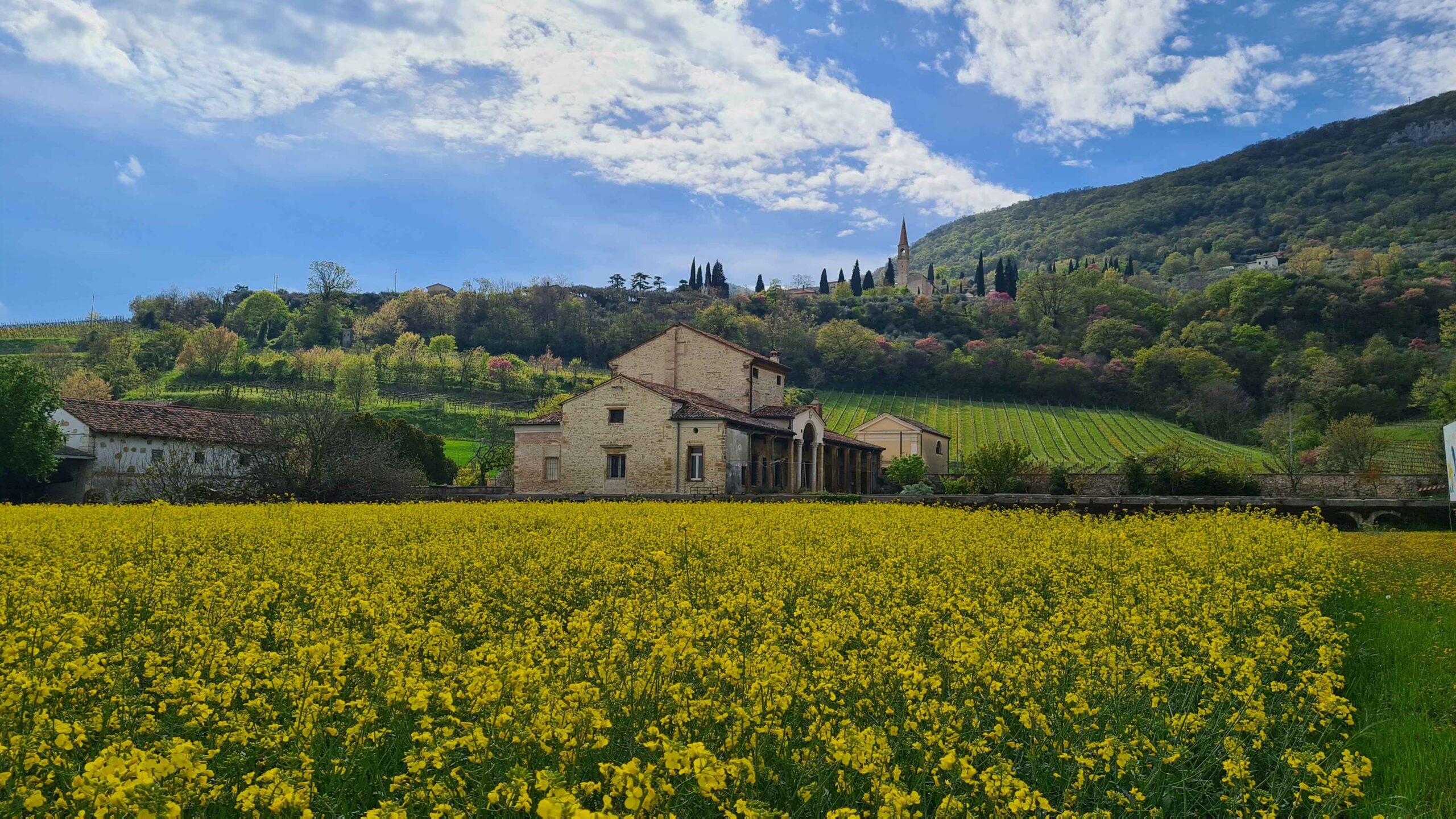STRUTTURA_Costalunga Vini 1